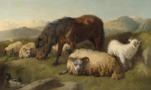 Goats, Sheep, and a Pony by Richard Ansdell